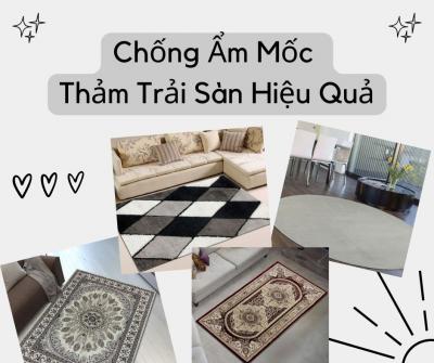 Chống ẩm mốc thảm trải sàn hiệu quả